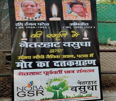 White Peacock Adaptation Project