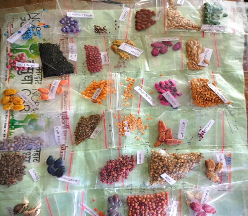 Kisaan Mission and Vision